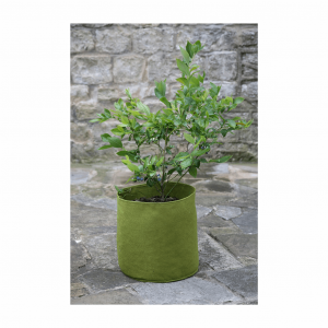 2.6 Gal Vigoroot Pots 3pk